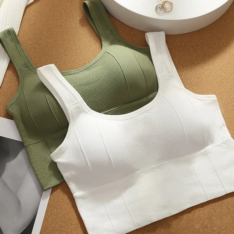 Sujetador deportivo transpirable antisudor para mujer, Top de Yoga sin costuras, Top corto a prueba de golpes, Sujetador deportivo Push Up, Top de entrenamiento para gimnasio